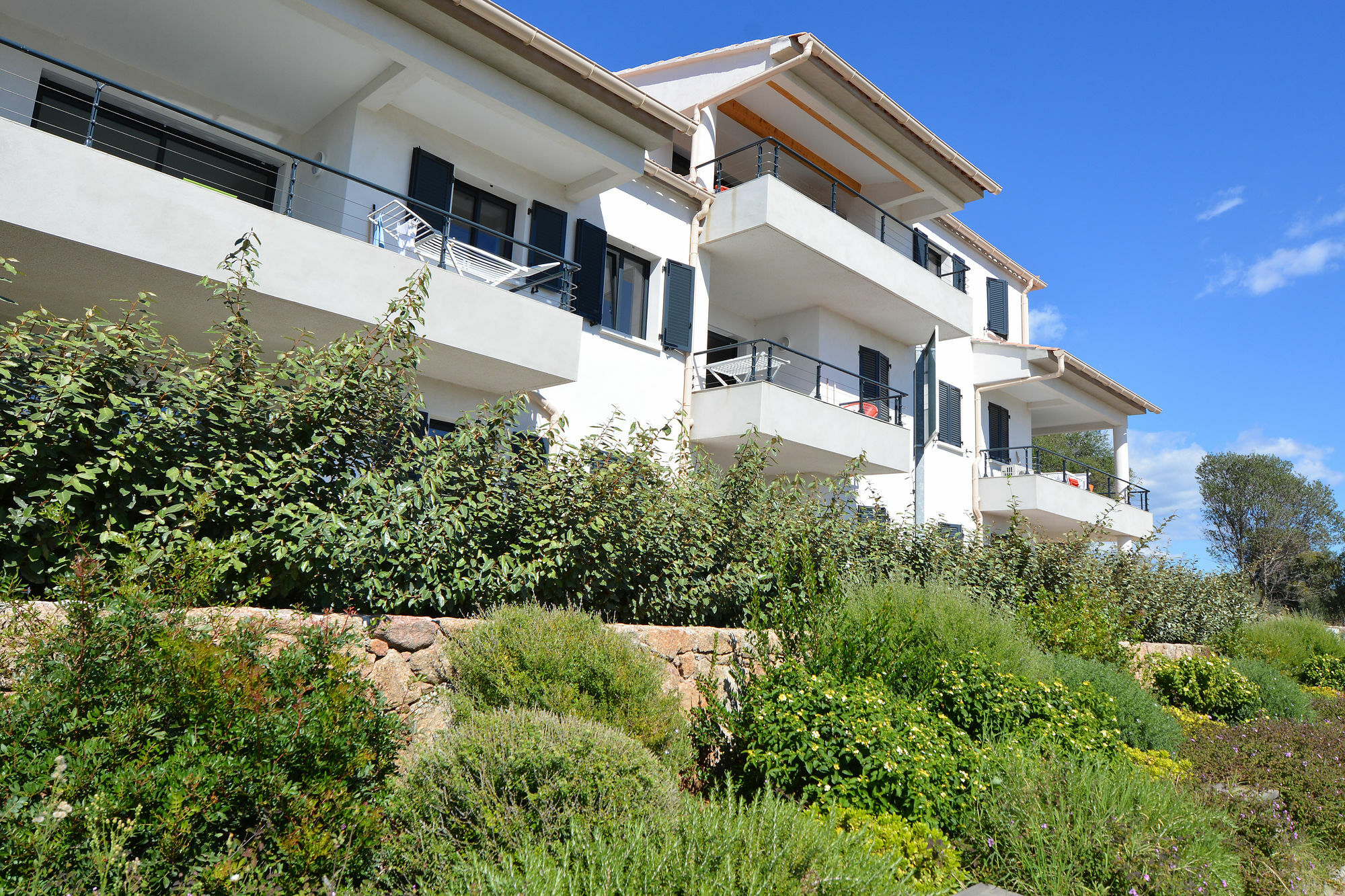 Les Terrasses Du Grand Large Aparthotel Porto Pollo Exteriör bild